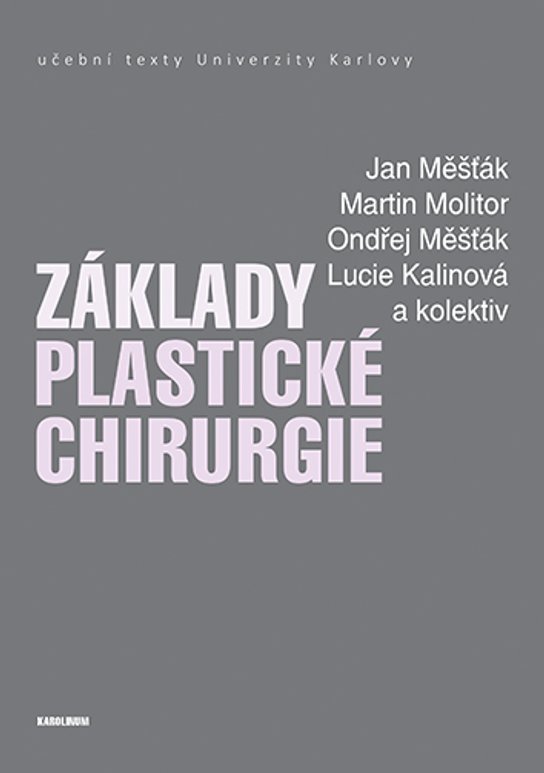 Základy plastické chirurgie -  Martin Molitor