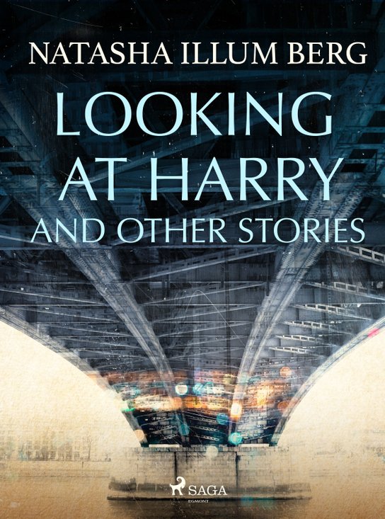 Looking at Harry and Other Stories -  Natasha Illum Berg
