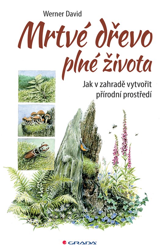 Mrtvé dřevo plné života -  David Werner