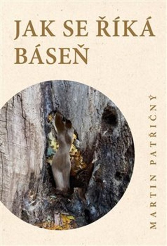 Jak se říká báseň - Martin Patřičný