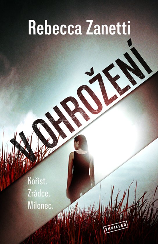 V ohrožení -  Rebecca Zanetti
