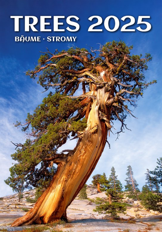Stromy 2025 - nástěnný kalendář -  Autor Neuveden