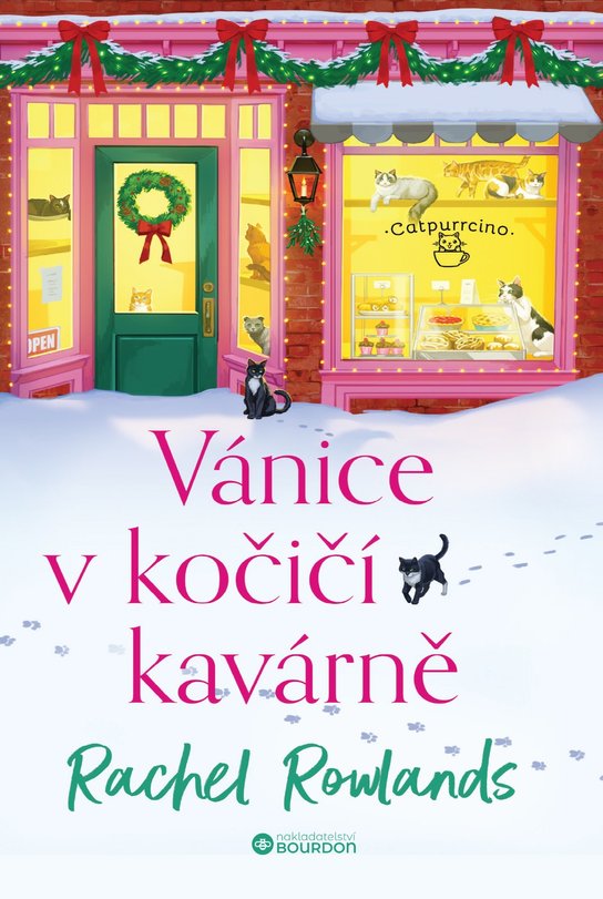 Vánice v kočičí kavárně -  Rachel Rowlands