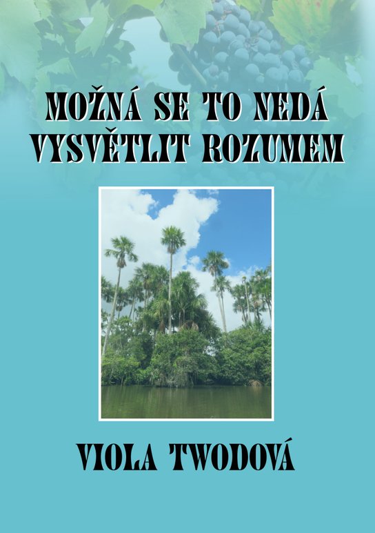 Možná se to nedá vysvětlit rozumem - Viola Twodová