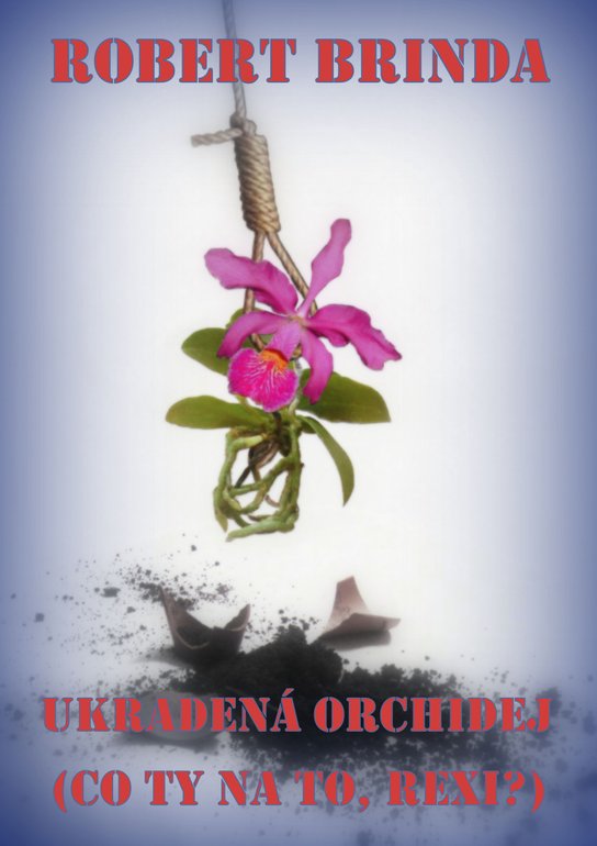 Ukradená orchidej - Robert Brinda