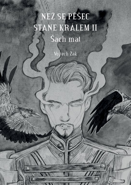Než se pěšec stane králem II. - Vojtěch Žák