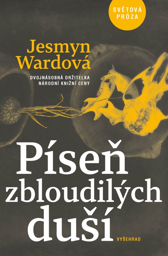 Píseň zbloudilých duší -  Jesmyn Ward