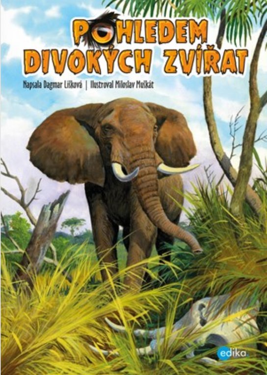 Pohledem divokých zvířat -  kolektiv