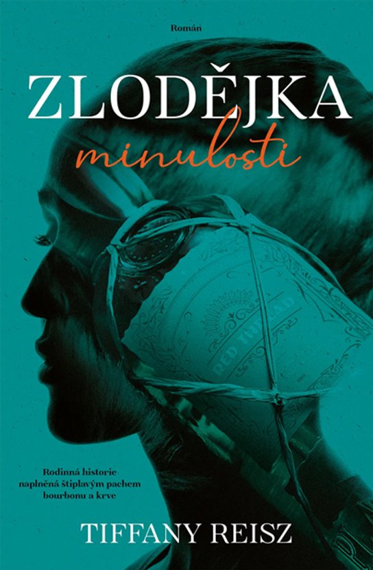 Zlodějka minulosti -  Tiffany Reisz