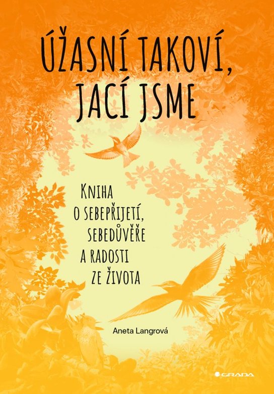 Úžasní takoví, jací jsme -  Aneta Langrová