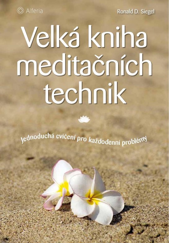 Velká kniha meditačních technik -  Ronald D. Siegel