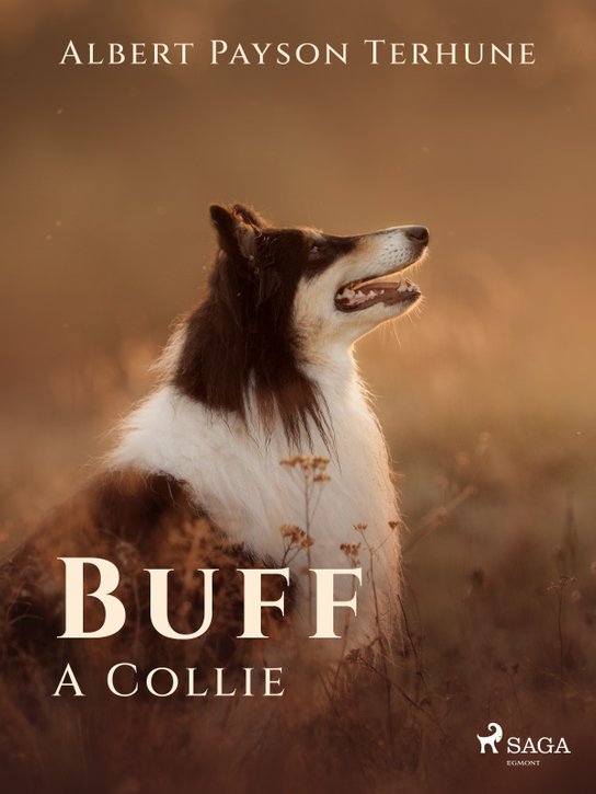 Buff: A Collie -  Albert Payson Terhune