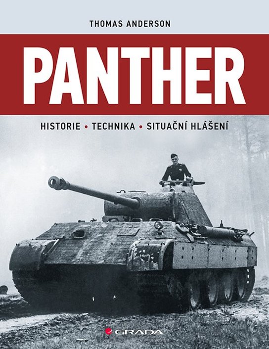 Panther -  Thomas Anderson
