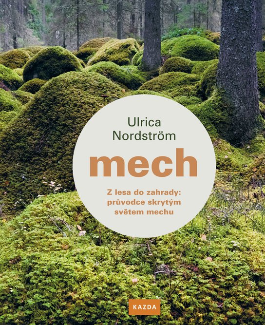 Mech -  Ulrica Nordström