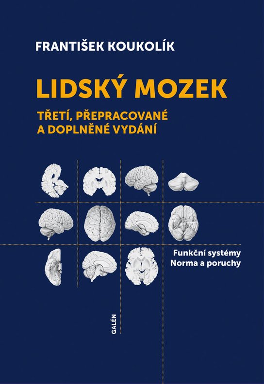 Lidský mozek -  František Koukolík