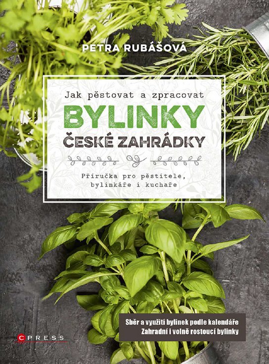 Bylinky české zahrádky -  Petra Rubášová