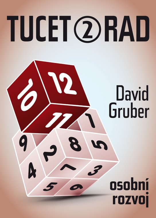 Tucet rad, jak být úspěšnější v práci 2 -  David Gruber