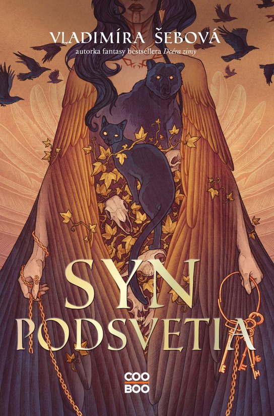 Syn podsvetia -  Vladimíra Šebová