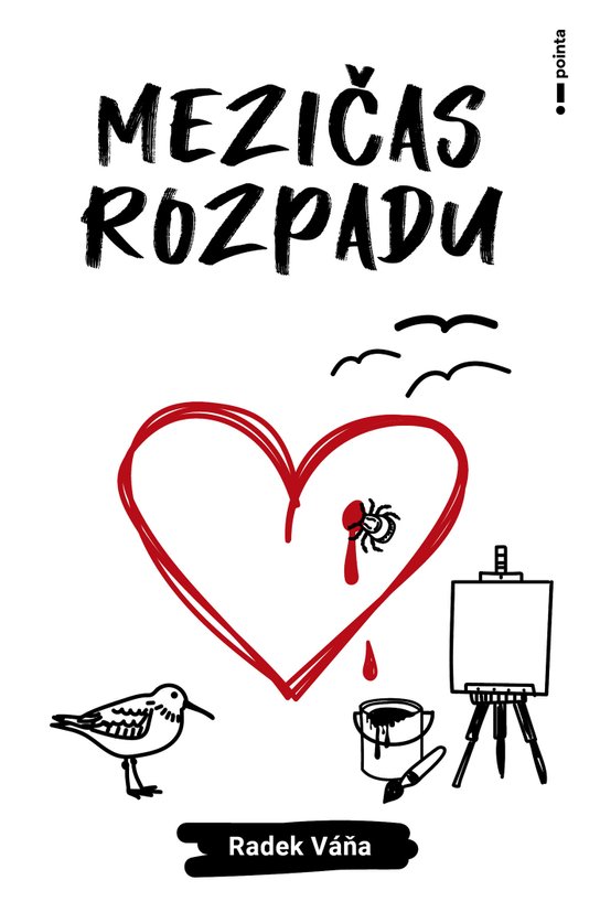 Mezičas rozpadu -  Radek Váňa