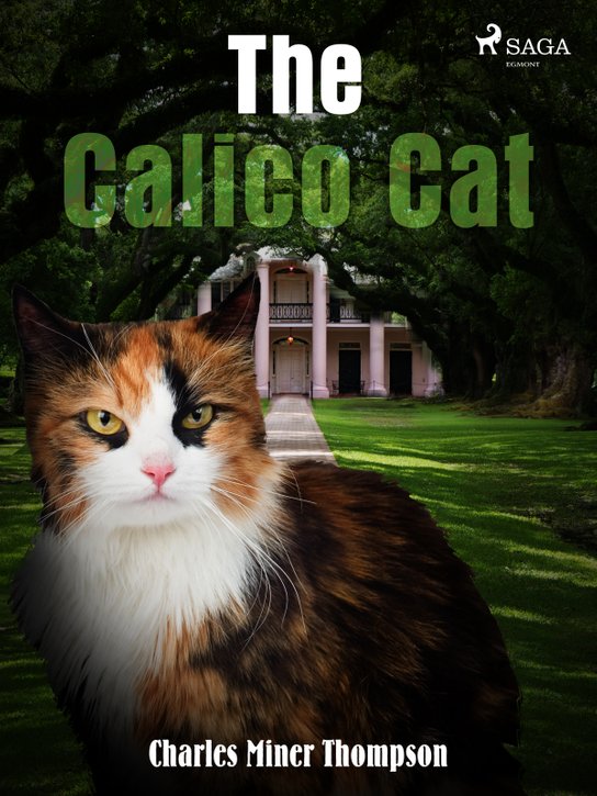 The Calico Cat -  Charles Miner Thompson