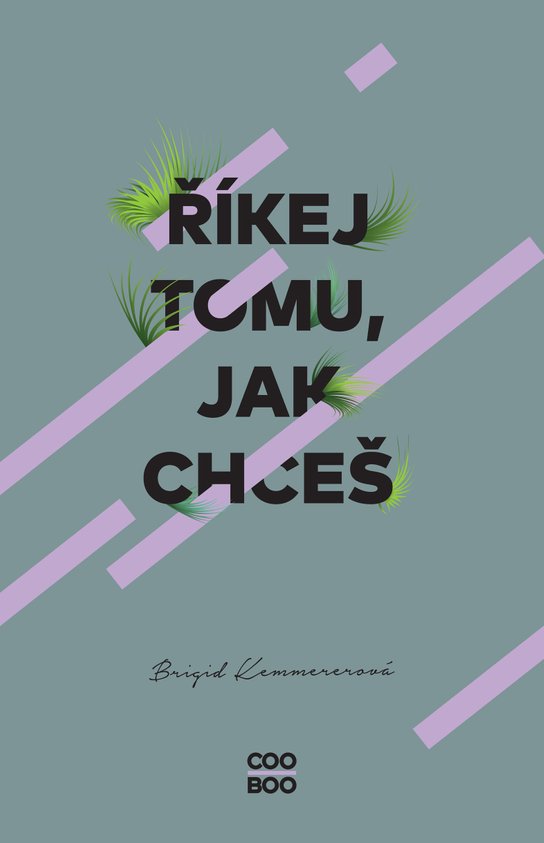 Říkej tomu, jak chceš -  Brigid Kemmerer