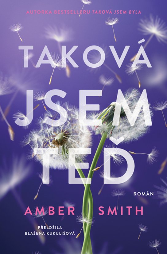 Taková jsem teď -  Amber Smith