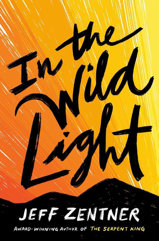 In the Wild Light -  Jeff Zentner