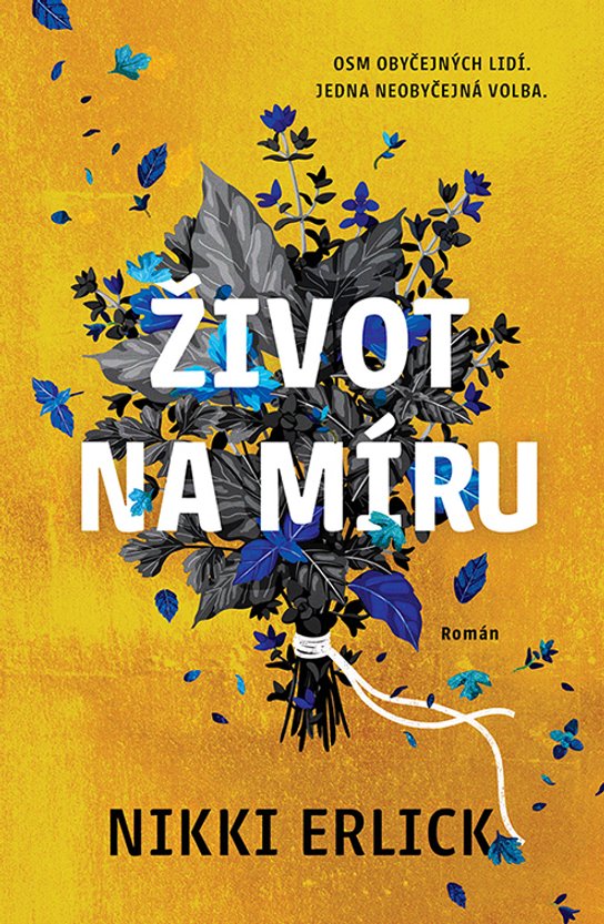 Život na míru -  Nikki Erlick