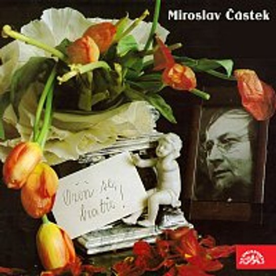 Ožeň se, bratře -  Peter Altenberg