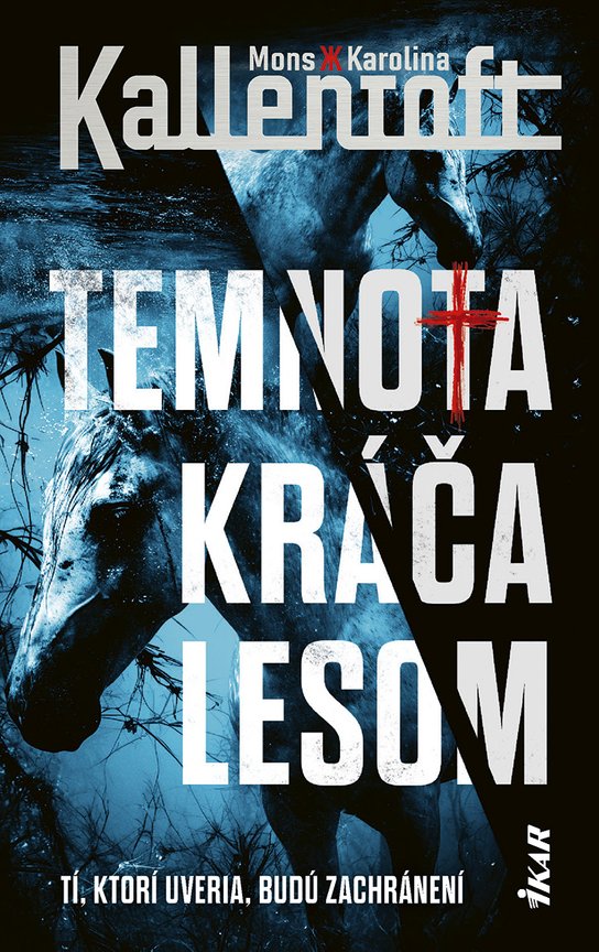Temnota kráča lesom -  Mons Kallentoft