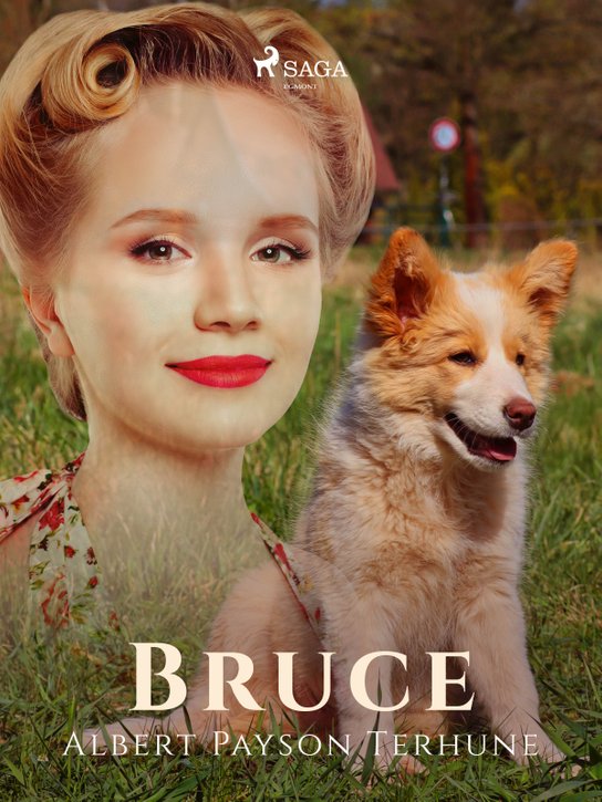 Bruce -  Albert Payson Terhune