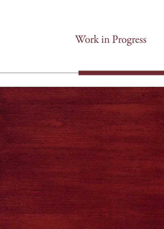 Work in Progress -  Tomáš Valeš