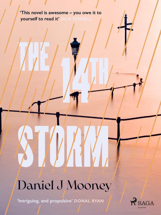 The 14th Storm -  Daniel J Mooney