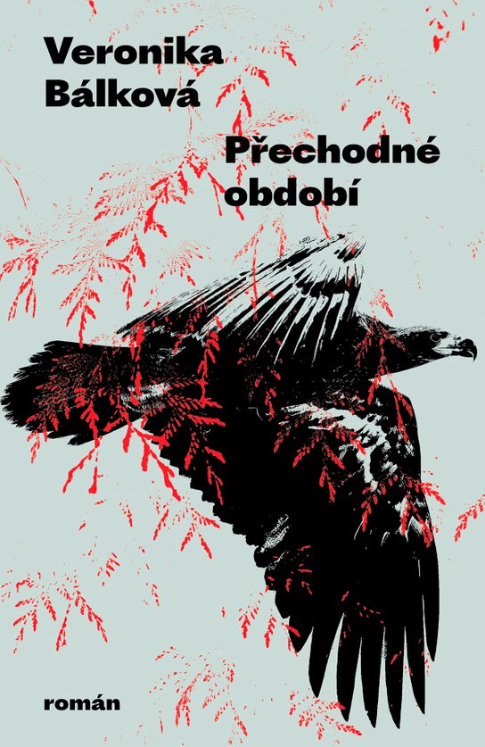 Přechodné období -  MUDr. Veronika Bálková