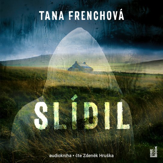 Slídil -  Tana Frenchová