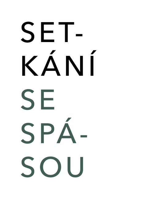 Setkání se spásou -  autorů kolektiv
