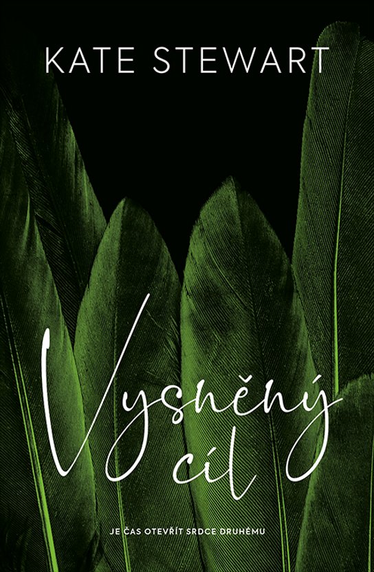 Vysněný cíl -  Kate Stewart
