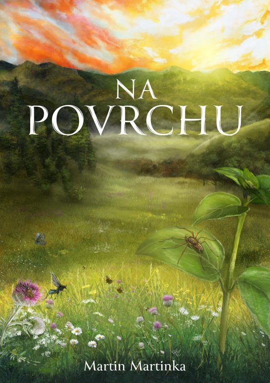 Na povrchu -  Martin Martinka