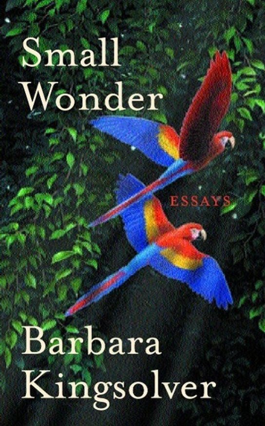 Small Wonder -  Barbara Kingsolverová