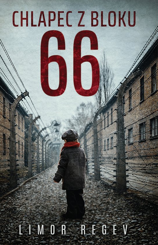 Chlapec z bloku 66 - Limor Regev