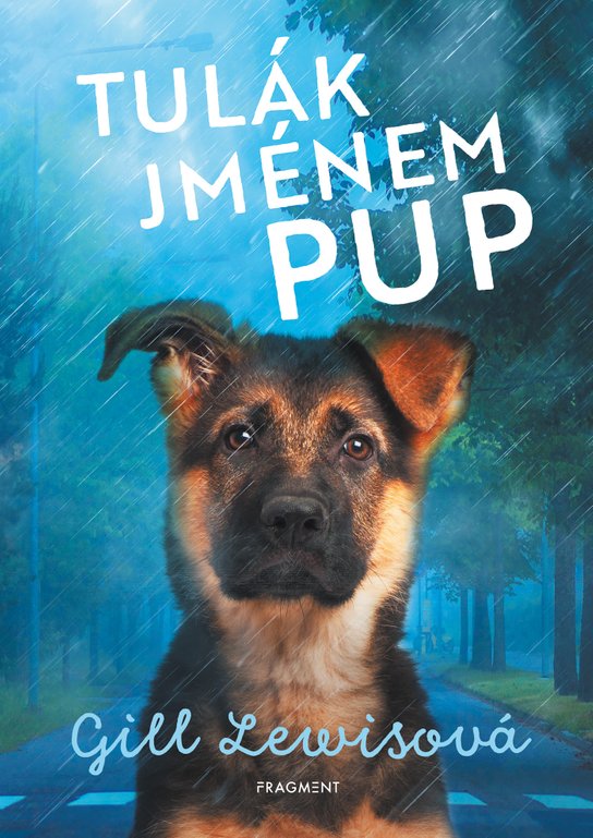 Tulák jménem Pup -  Gill Lewisová