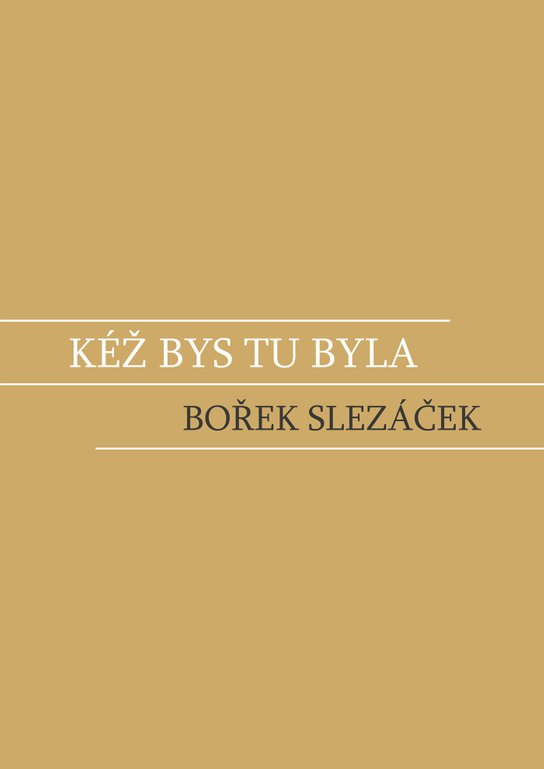 Kéž bys tu byla -  Bořek Slezáček