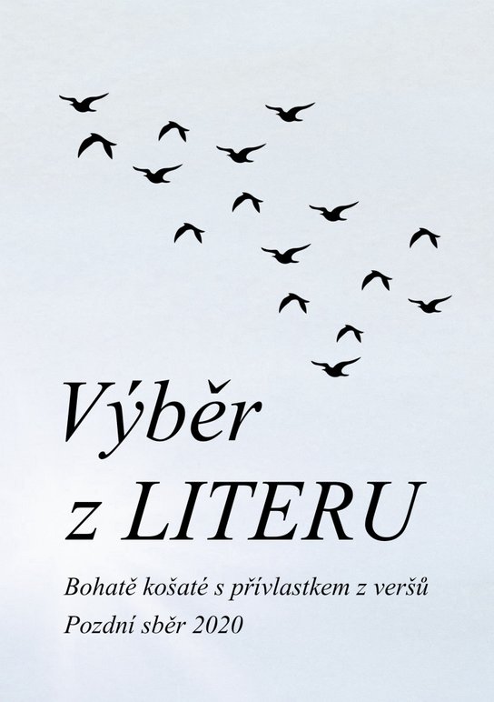 Výběr z Literu
