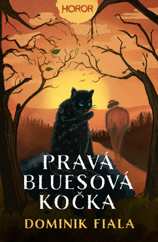 Pravá bluesová kočka -  Dominik Fiala