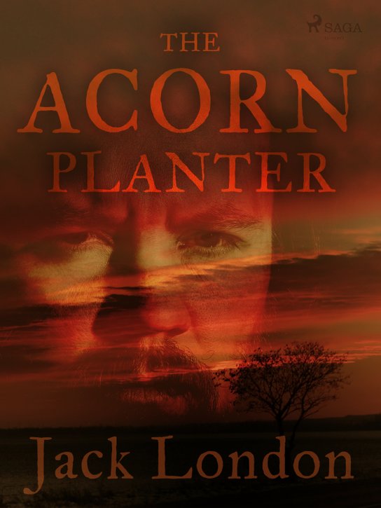 The Acorn Planter -  Jack London