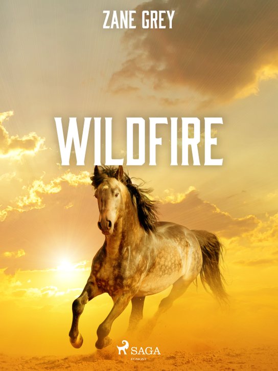 Wildfire -  Zane Grey
