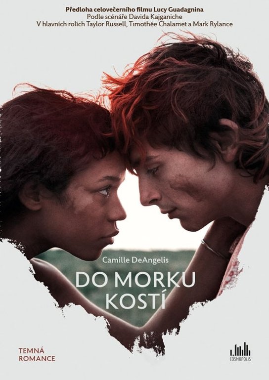 Do morku kostí -  Camille DeAngelis