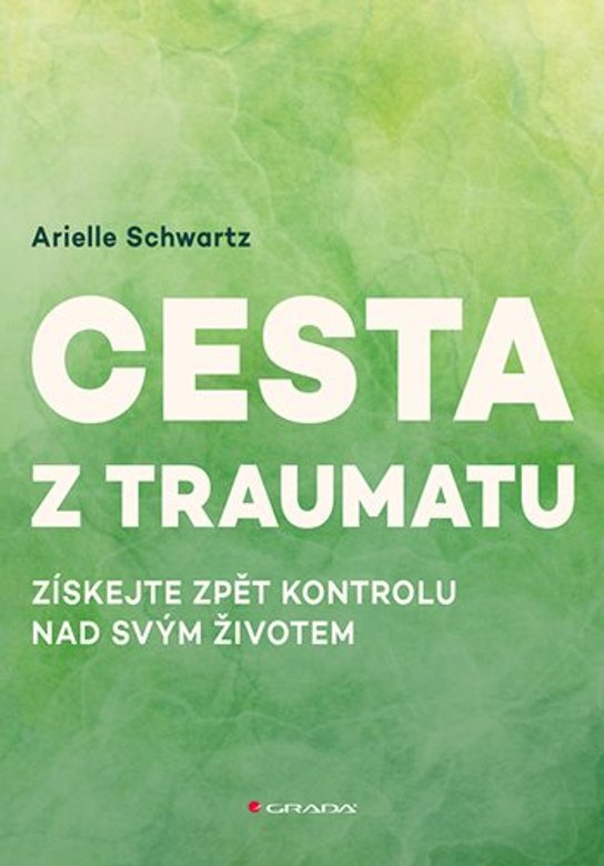 Cesta z traumatu -  Arielle Schwartz