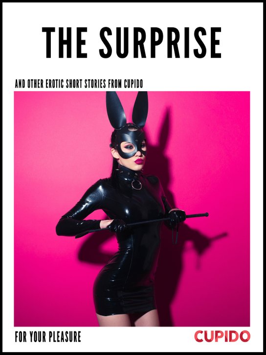 The Surprise - and other erotic short stories -  Cupido