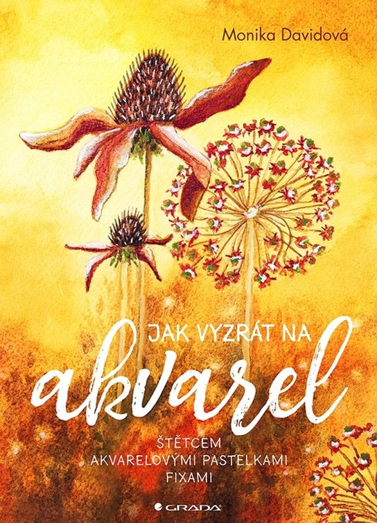 Jak vyzrát na akvarel -  Monika Davidová